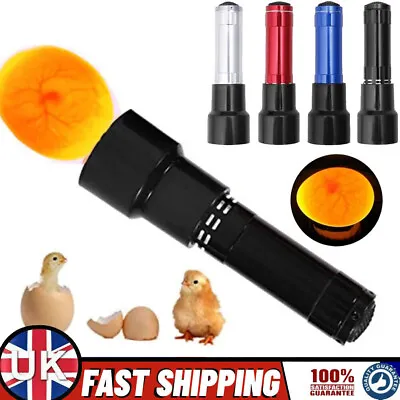 Hand Held LED Egg Candling Light Egg Candler Lamp Tester Led Flashlight Tool • £6.99