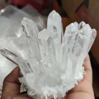 150g Large Natural White Clear Quartz Crystal Cluster Mineral Rock Stone Healing • £11.05