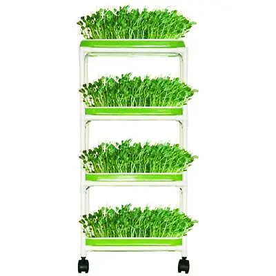 	4 Layers Sprout Trays With Extra Strength Plastic Shelf Soil-free Healthy Wh... • $35.05