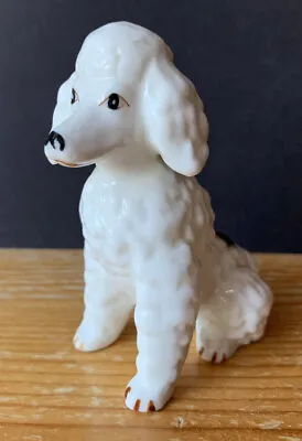 £5 • Buy Poodle Dog Figurine / Ornament - Bone China - 8 Cm - White