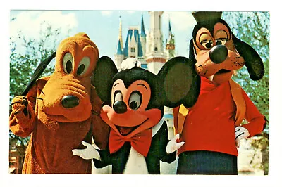 Postcard WALT DISNEY WORLD Mickey Mouse Pluto And Goofy At Magic Kingdom. D2 • $3.99