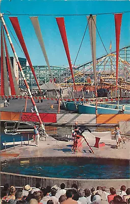  The Sea Circus  Pacific Ocean Park Santa Monica CA Postcard • $5