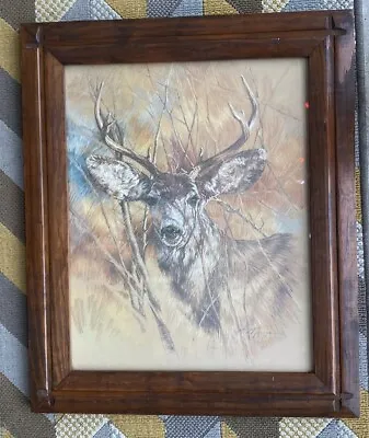 Vintage Deer Print The Silent Buck K Maroon 1978 Framed Wall Art Cabin Hunting • $99.99