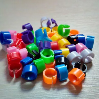 100x Bird Duck Hen Chicken Parrot Pigeon Leg Tape Clip Poultry Rings FD3 DhNG^^i • £3.51