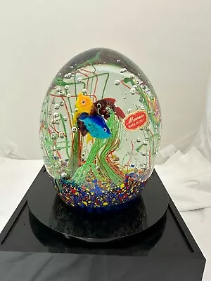 Murano Glass Fish Aquarium Egg 6  • $316