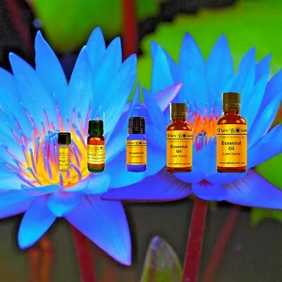 Blue Lotus Absolute Essential Oil - 100% PURE NATURAL - Sizes 1 Ml - 1 Oz • $16.77
