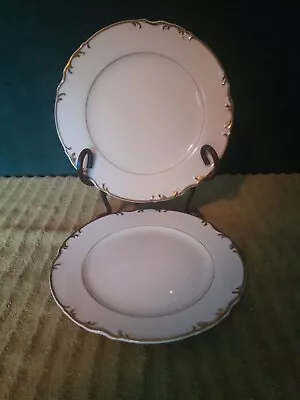 Mikasa Venice 9266 Japan Salad Plates (Set Of 2) White Gold Trim7 3/4   B01 • $12