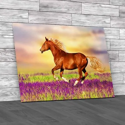 Horse In Lavender Field A Breathtaking Run Canvas Print Large Picture Wall Art • £18.95