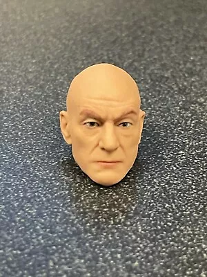 Hasbro Marvel Legends 6  Scale PROFESSOR X Xavier (STEWART) MINT MALE HEAD • $9.56