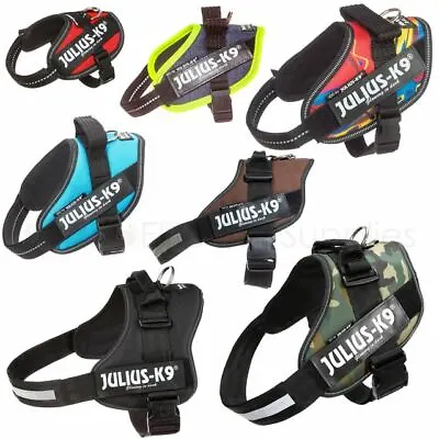 Julius K9 Official Dog Puppy IDC® POWER HARNESS Strong Adjustable  • £26.99