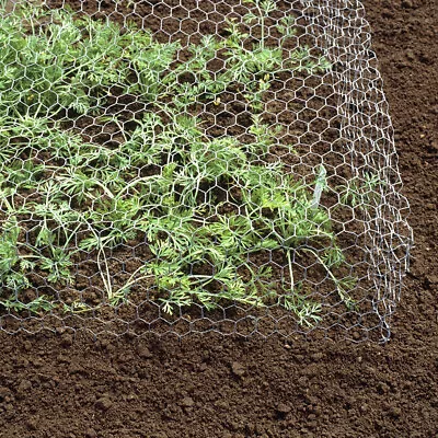 £9.95 • Buy Galvanized Metal Chicken Wire Net Farm Home Use Gardening Mesh Fence 13/25/50 Mm