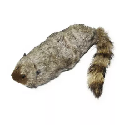 £10.79 • Buy The Rocky Raccoon Magic Robbie Magic Tricks Stage Street Illusions Gimmick Toy