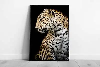 Leopard Sitting Looking To The Side Nature Photography Wall Art Print On Paper • £7.81