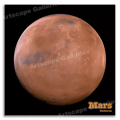 Mars - The Cerberus Hemisphere - NASA / Space / Astronomy Poster - 20x20 • $14.95