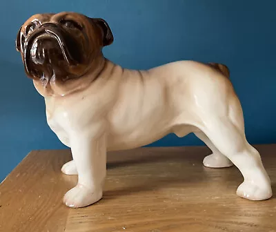 £28 • Buy Striking Vintage Melba Ware Staffordshire England Standing Bulldog  Figurine