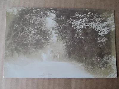 Postcard - Darenth Road Dartford (1914 Posted Daniell Brothers Ltd) • £3.99