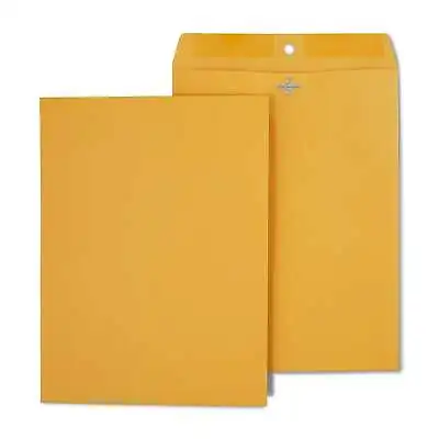 Staples Brown Kraft Clasp Envelopes 9  X 12  250/Box 487493 • $30.36