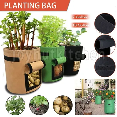 5/7/10 Plant Grow Bags Potato Fruit Vegetable Garden Planter Growing Bag UK • £3.49
