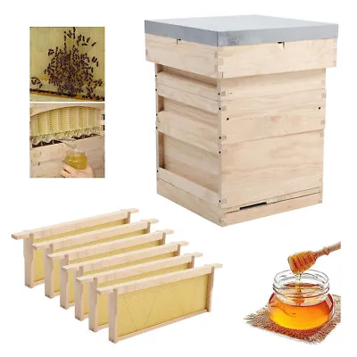 National Wooden Bee Hive Supply Brood Super Box Beekeeper Beekeeping Beehive Kit • £35.95