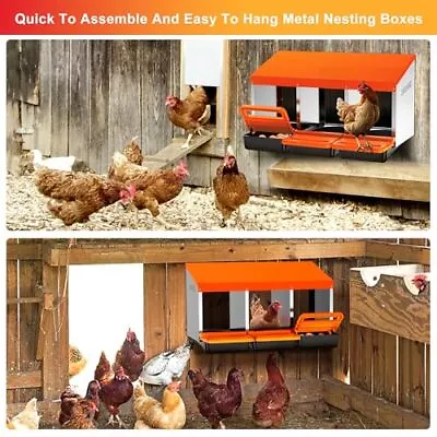 Chicken Nesting Boxes 3 Hole Metal Roll Away Nest Box For Chickens Laying Egg. • $79.99