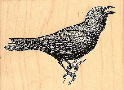 Bird Squawking Crow Halloween Bird Wood Mounted Rubber Stamp JUDIKINS 3720G New • $14.95