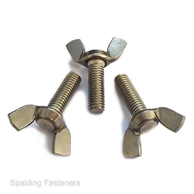 DIN316 A2 304 Stainless Steel Wing Bolts Nut Butterfly Screw M4 M5 M6 M8 M10 • £2.52