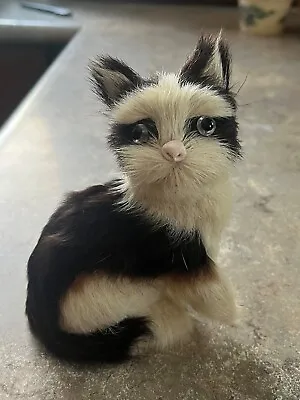 Real Fur Cat/Kitten Figurine - Small Cute Glass Eyes - Vintage 5  Tall • $9.98