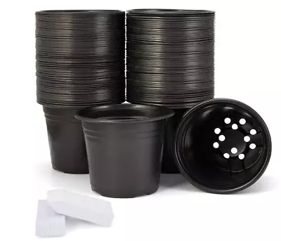 100 Pack Black Garden Nursery Plastic Pots 1/2Gallon Flower Plant Container Seed • $31.99