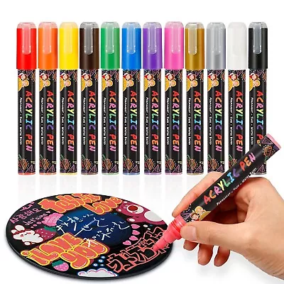 Acrylic Paint Pens 12 Markers Permanent Marker Art Fabric Pen Rock Glass Pebbles • £12.89