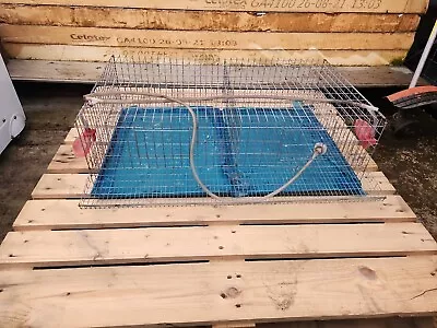 Quail Breeding Cage With Egg Roll Out Feeder Drinker And  Tray • £80