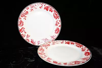 Martha Stewart LIKE ORLEANS Dinner Plates But Gold Border Set Of 2 MINT • $49.68