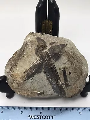 Staurolite On Mica(Muscovite) Schist - 427g - Stunning Quality High Definition • $50