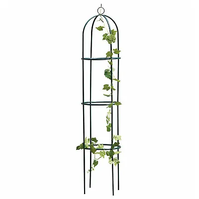 New Winding Plant Outdoor Garden Green Metal Obelisk Support Frame • £10.85