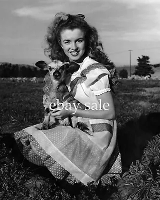 MARILYN MONROE Pretty Portrait PHOTO  Rare FARM GIRL N BABY GOAT • $49.95