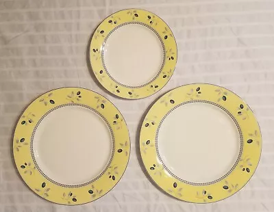 £26.28 • Buy 3 Royal Doulton 2005 BLUEBERRY PLATES 2x Dinner 1O.5   1x Lunch Salad 7.5  