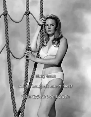 Veronica Carlson   Leggy Cheesecake Hammer Films  8x10 Photo  14 • $14.99