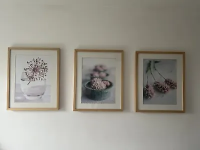 Ikea Framed Prints. X3 Pink Flowers In Light Wood Ribba Frames Size 40 X 50 Cm • £8.50