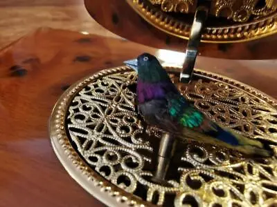 REUGE MUSIC Mechanical Singing Bird Walnut Humpwood Overhauled 120×75×40mm USED • $4749