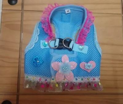 Designer Dogs Harness Size Medium Chihuahua /blue Hearts  /.  • £12.99