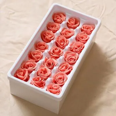 Natural Preserved Mini Roses Colorful Dried Flower Gift Wedding Decoration 21Pcs • $45.13