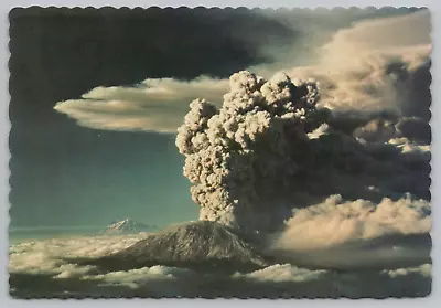 July 22 1980 Mount St. Helens WA Eruption Mt. Rainier In Background Postcard B18 • $5.95