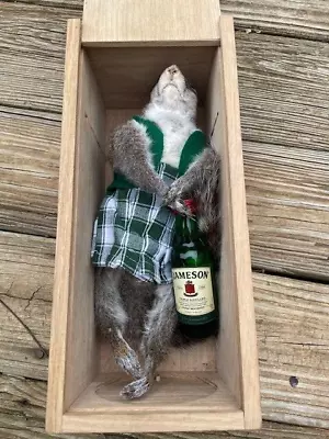 Taxidermy Nice  New Dead   GREY SQUIRREL Mount In Jameson Whiskey Coffin • $425