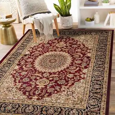 Large Traditional 8x10 Living Room Rugs Oriental Medallion Area Rug 5x7 Carpet • $64.40