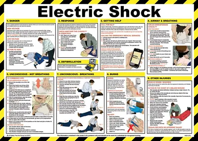 £19.05 • Buy Safety First Aid Electric Shock Poster, Laminated 59x42cm