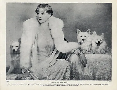 German Spitz Pomeranian Film Star Alice Terry And Her Dogs Lovely 1934 Dog Print • $8.08