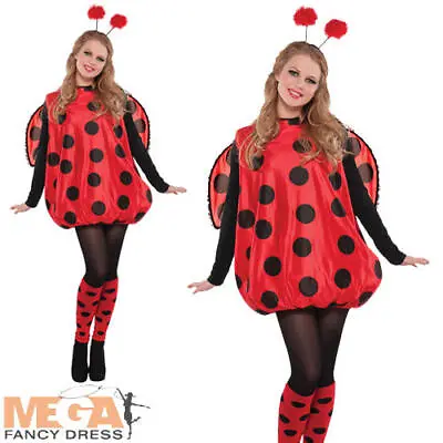 Girls Darling Ladybug Costume Lady Bird Insect Book Day Kids Teen Fancy Dress  • £14.99