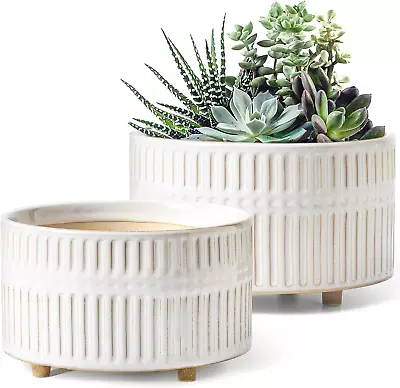 Succulent Pots 6.5+8 Inch Ceramic Indoor Plant Pot With Drainage Hole Modern R • $49.53