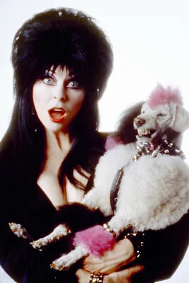 Elvira: Mistress Of The Dark Cassandra Peterson Holding Poodle Dog 24X18 Poster • $24.99