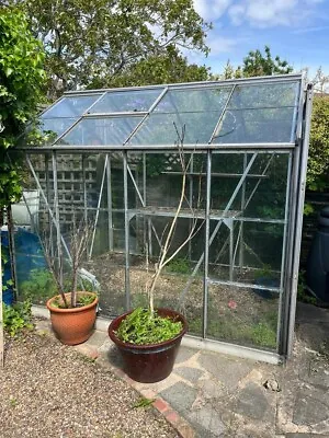£200 • Buy Halls Greenhouse