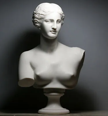 Aphrodite Goddess Venus De Milo Bust Head Greek Cast Marble Sculpture 20.8 In • $329